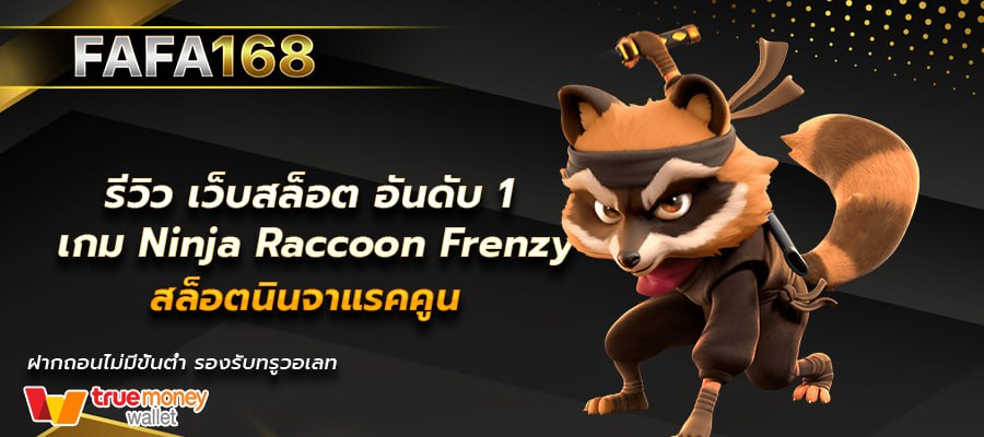 Ninja Raccoon Frenzy